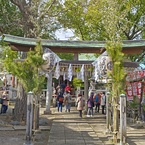 大川町氷川神社(鳥居)