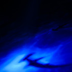 DSCF4187