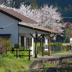 桜と小湊鉄道その１の8