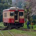 桜といすみ鉄道その2の5