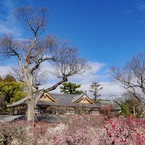 P1130030