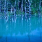 青の池イメージ