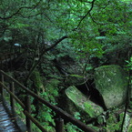 屋久島