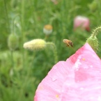 一瞬の