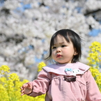 春風