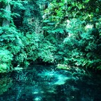 Verdure Lake