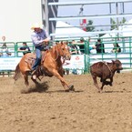 FARMER'S DAY / CALF ROPING