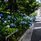 梅雨に向かえば