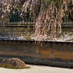 龍安寺-6