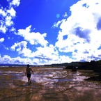 Mud Flat