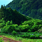 山郷を縫う