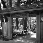 横浜公園_05