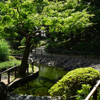 横浜公園_06