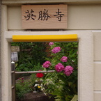 額縁の様