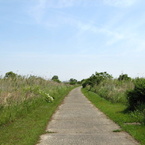 休日河川敷３