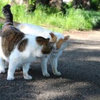 ふたりの時間