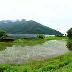 奥びわ湖の田んぼ