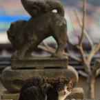 尾道猫2