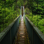 怖いつり橋