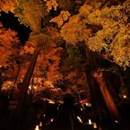 晩秋のおもてなし