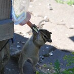 暑いですね～水分補給