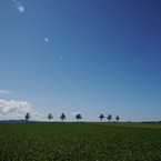 夏を感じて