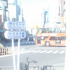 ふわふわと鳥を探して