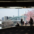 spring for tokyoites 2025