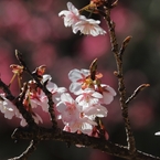 暖光