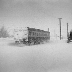 吹雪の中