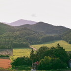里の夏-2011
