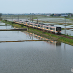 さざ波打つ水田