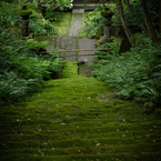 苔寺