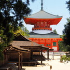 根本大塔