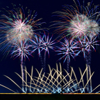 JAPAN FIREWORKS EXPO（スペシャル花火ショー）⑤