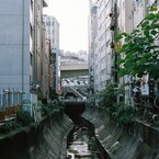 shibuya #4