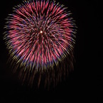 長岡大花火大会2011 初日（8/2）