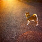 さあ！始まるよ。