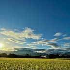 雨が止んだら…