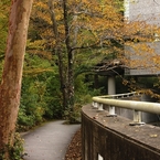 ポーラ美術館の紅葉　２