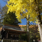 諏訪大社　4社巡り