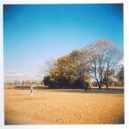 秋遊Holga