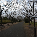 お散歩途中の公園_０６