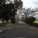 お散歩途中の公園_０５