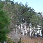 発表会会場付近の風景_１６