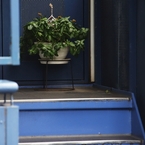 北青山界隈　１８