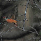 実践 Ⅻ ～キリキリ舞～