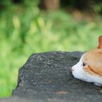 夏の午後
