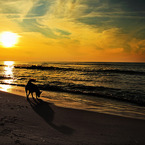 Silhouette on the beach