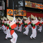 高円寺阿波踊り